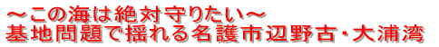 �`���̊C�͐�Ύ�肽���` ��n���ŗh��閼��s�Ӗ�ÁE��Y�p